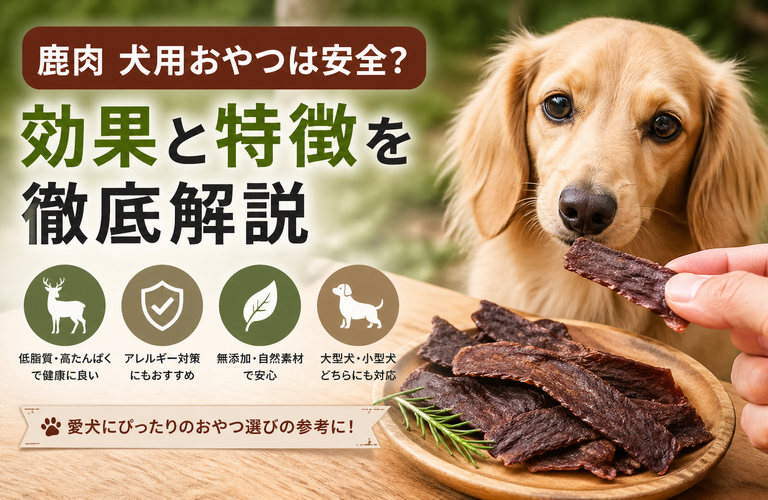 鹿肉の犬用おやつは安全？失敗しない選び方と注意点完全版保存版