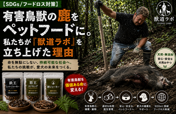 【SDGs/フードロス対策】有害鳥獣の鹿をペットフードに。私たちが『獣道ラボ』を立ち上げた理由