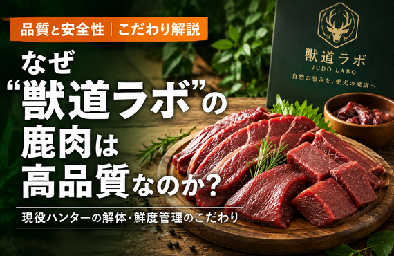 なぜ獣道ラボの鹿肉は高品質なのか？現役ハンターの解体・鮮度管理のこだわり