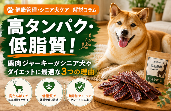 高タンパク・低脂質！鹿肉ジャーキーがシニア犬やダイエット中の愛犬に最適な3つの理由