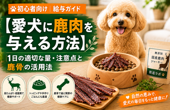 【愛犬に鹿肉を与える方法】1日の適切な量・注意点と骨（スープ・かじり木）の活用法