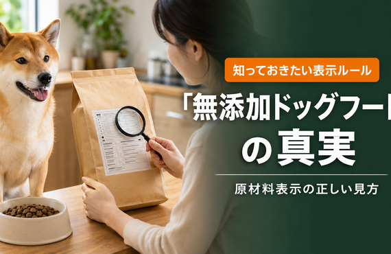 ドッグフードの無添加に基準はある？法律・表示ルールと原材料の正しい見方