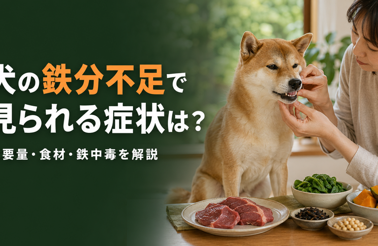 【獣医療情報に基づく】犬の鉄分不足で見られる症状は？必要量・鉄分を含む食材と安全な与え方