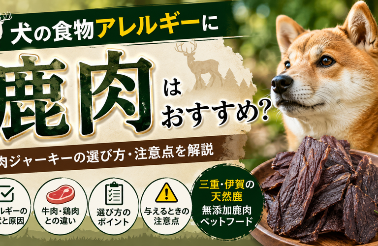 【2026年最新】犬の食物アレルギーに鹿肉はおすすめ？症状・新奇タンパク質・鹿肉ジャーキーの選び方を解説