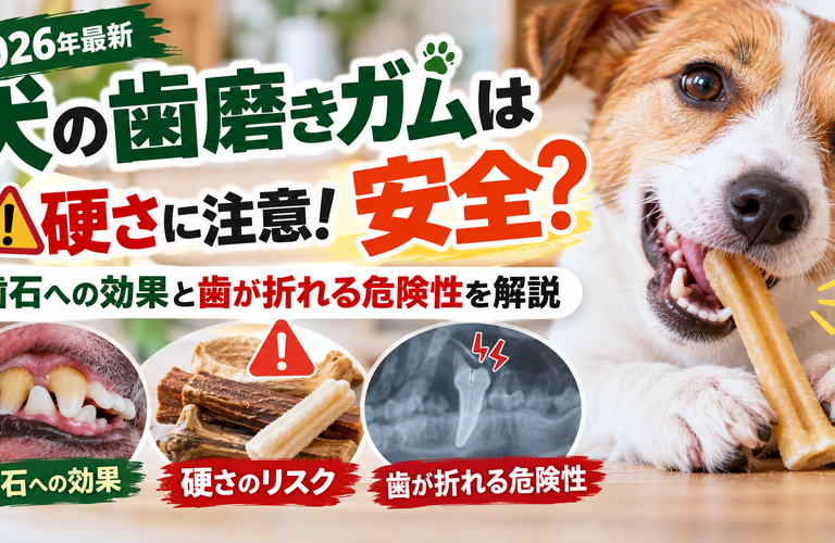【2026年最新】犬の歯磨きガムは安全？硬さに注意！歯石への効果と歯が折れる危険性を解説